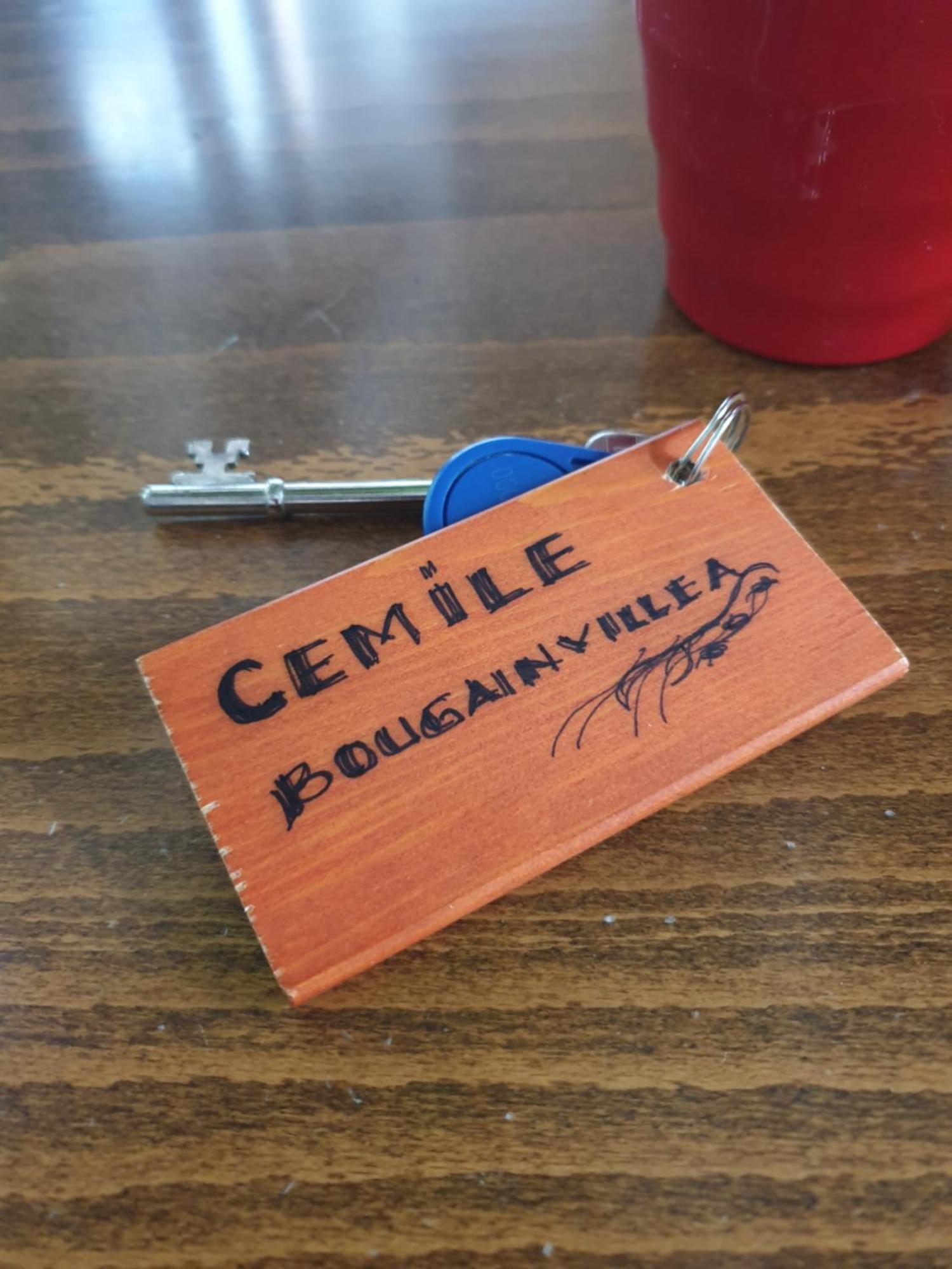 Cypriot Swallow Boutique Hotel นิโคเซีย ห้อง รูปภาพ