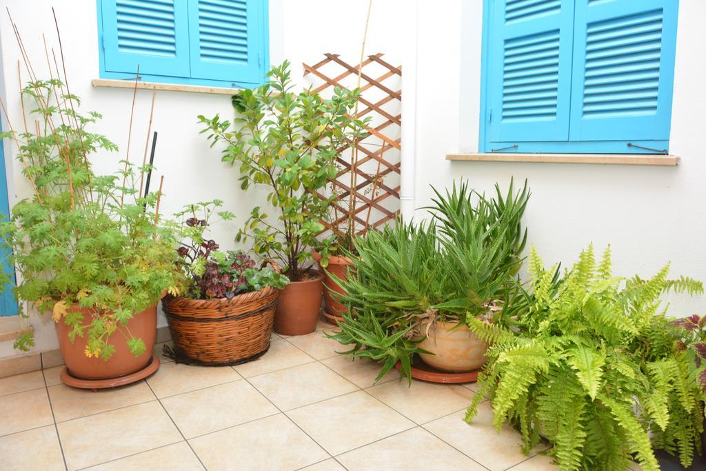 Cypriot Swallow Boutique Hotel นิโคเซีย ภายนอก รูปภาพ